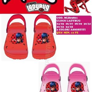 Zueco Lady bug